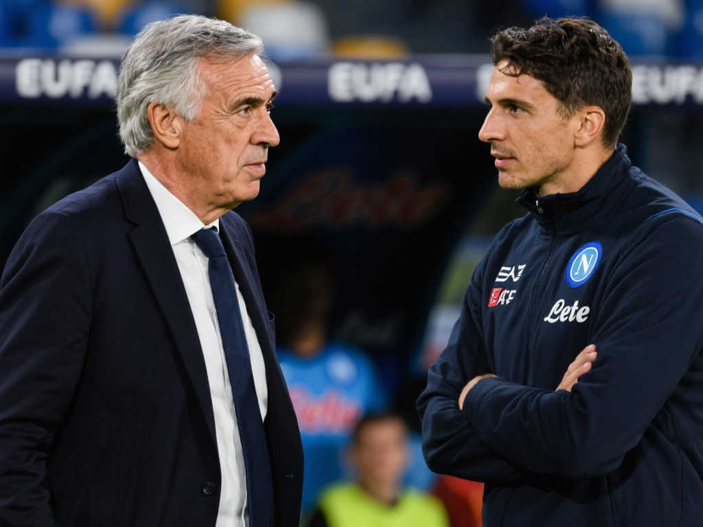 仅体现在体 仅体现在体