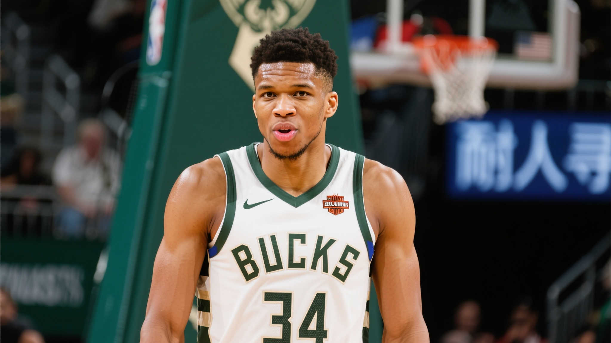 祖马的职业 祖马的职业