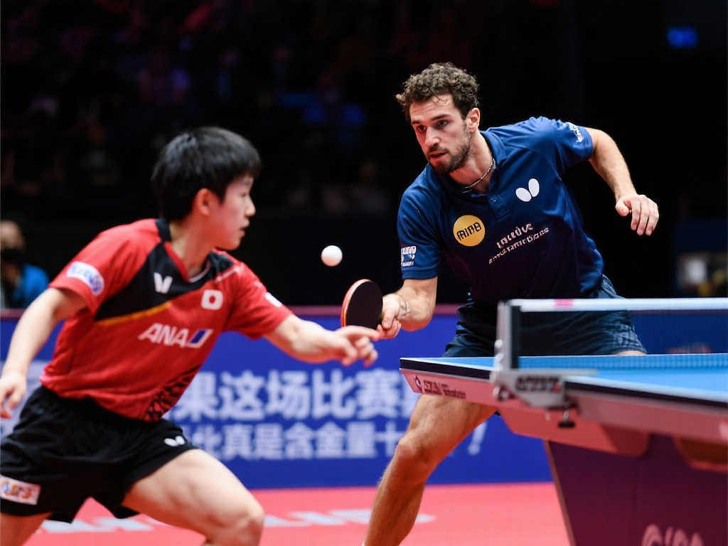 尤其是在高 尤其是在高